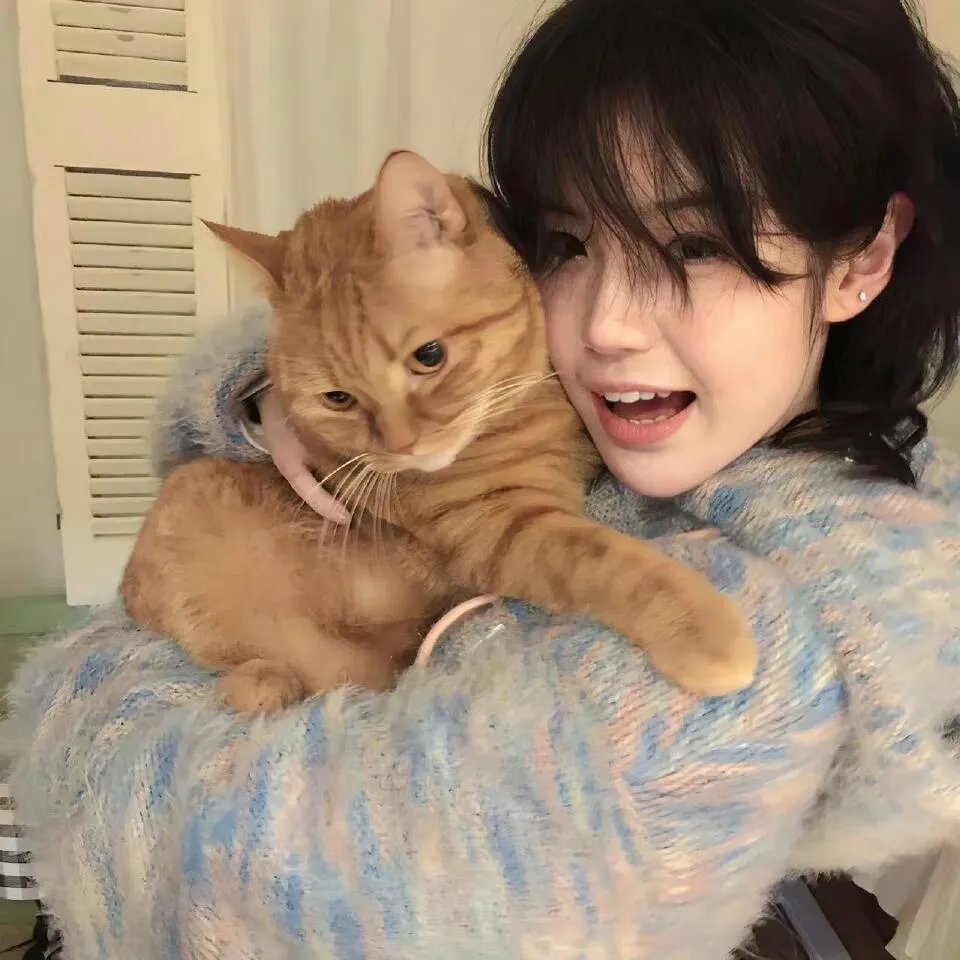 哈里斯夫人去巴黎MrsHarrisGoestoParis